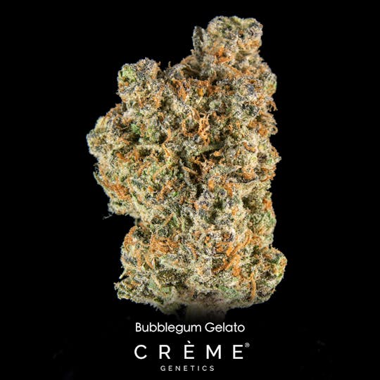 Crème Genetics - Bubblegum Gelato (27% THC) - 1