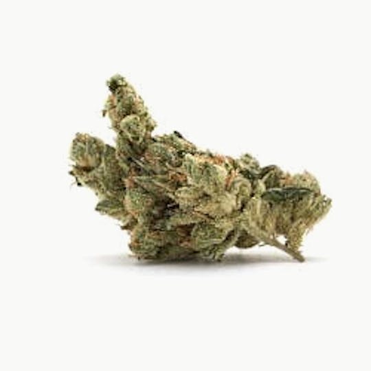 Ultra Health Brand - Chivo Snow - 1