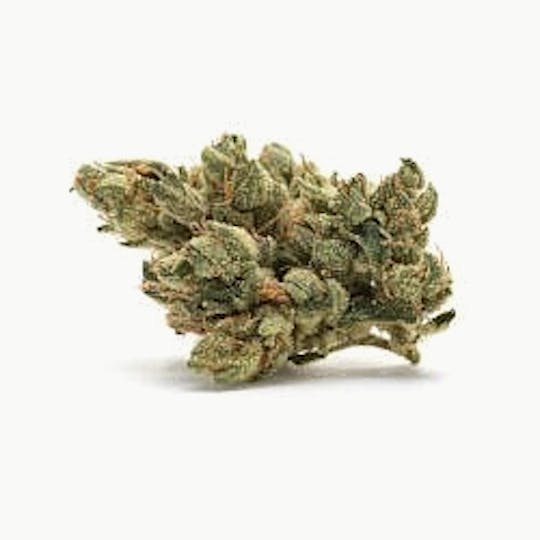 Ultra Health Brand - Citrique x L. Skunk - 1
