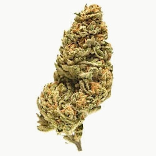Ultra Health Brand - Flo T1 - 1