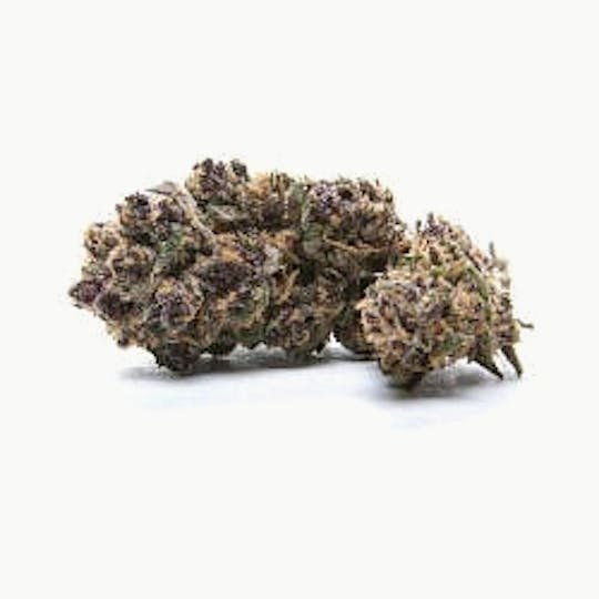 Ultra Health Brand - Larry OG x PKM - 1
