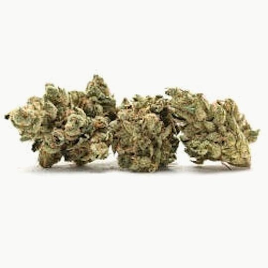 Ultra Health Brand - Platinum Punch x Doc Holiday - 1