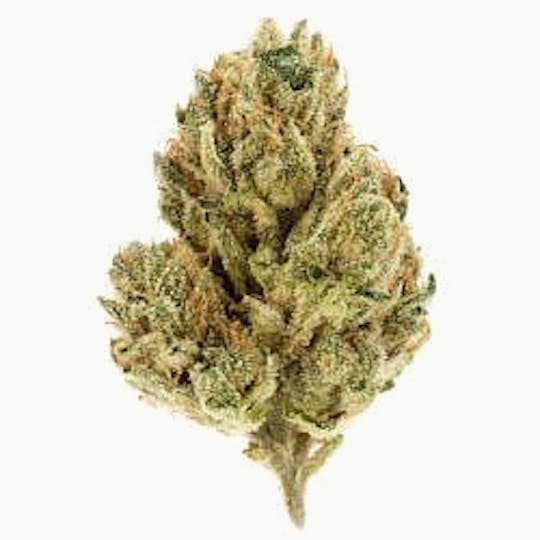 Ultra Health Brand - Ruby Frost - 1