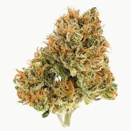Ultra Health Brand - Runaway Bride - 1