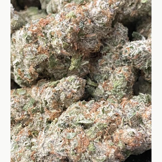 Herbal Remedies of Maine - Peach Crescendo by Hilltop Farms - 1