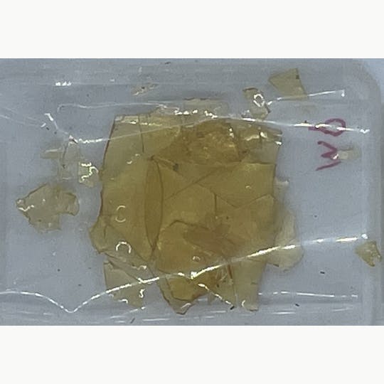 Robinsons of Maine LLC - Shatter - Mendo Purps - 1