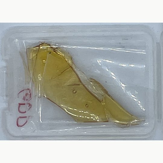Robinsons of Maine LLC - Shatter - Granddaddy Purple - 1
