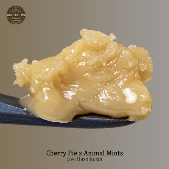 Kind Farms Reserve - Cherry Pie x Animal Mints 1g Live Hash Rosin - Kind Farms Reserve - 1