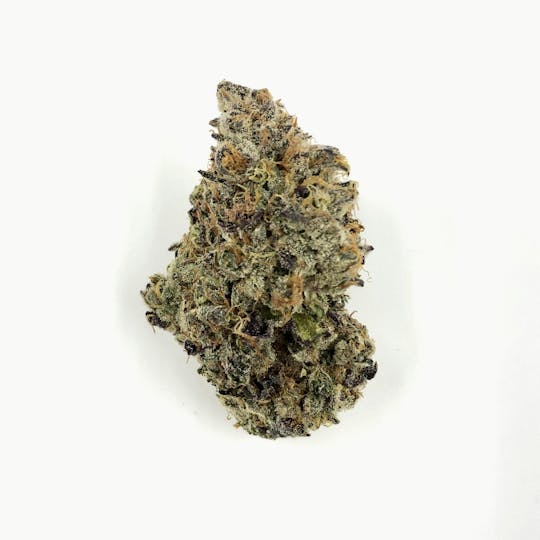 Indico - Mando 64 - 1