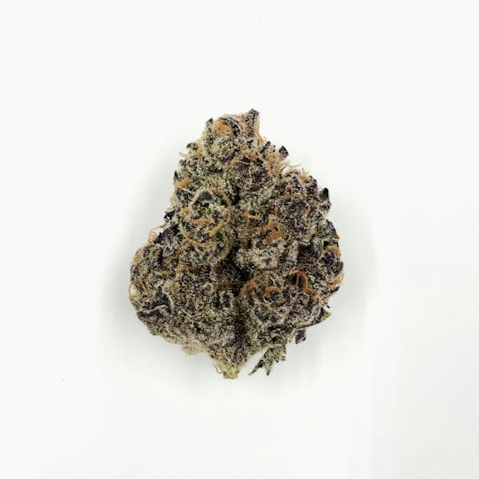 Indico - Miami Mami - 1