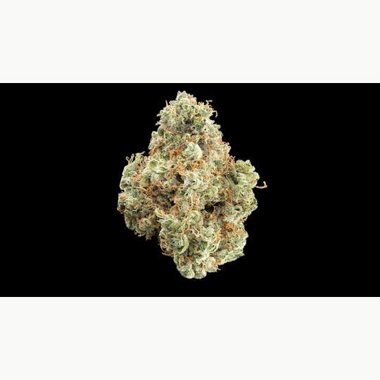 Kind Love - Aces High - 1