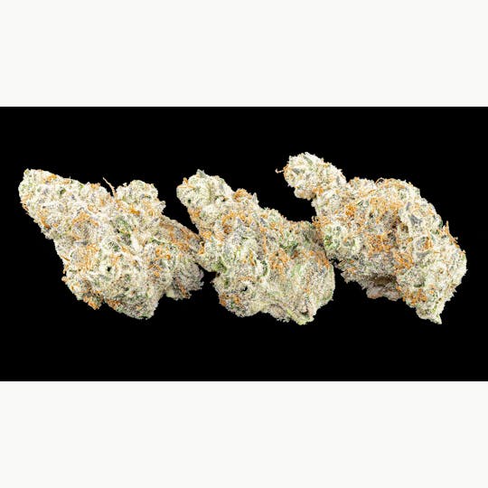 Kind Love - ARCtic Cookies - 1