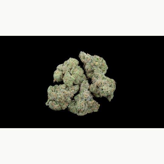 Kind Love - Ecto Cookies - 1