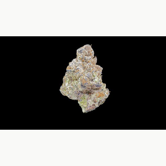 Kind Love - Grape Pie - 1