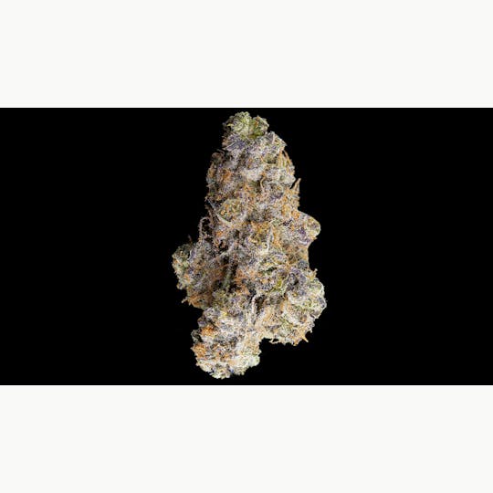 Kind Love - Mendo Breath - 1