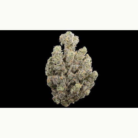 Kind Love - Skunk Berry - 1