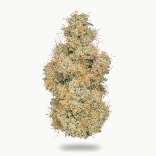 Northern Emeralds - Chapos Churro - 1