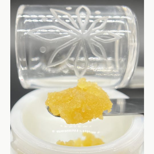 Sooner Glue - Black Cherry Kush - 1
