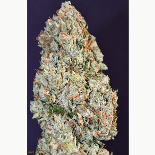 ITF - Green Day Haze - 1