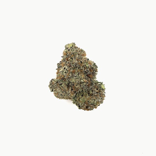 Five Star Fire - CrazyAid - 1
