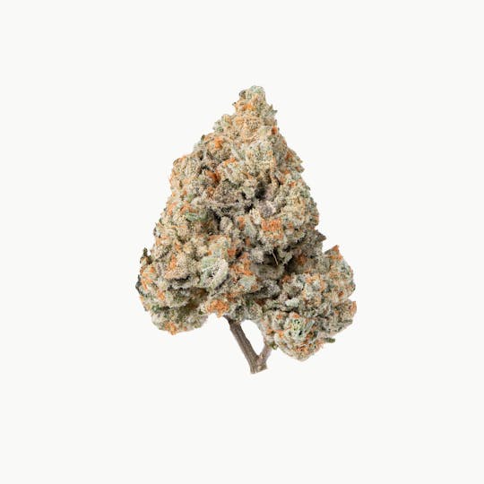 Brigid Farm - Orange Cookies Kush Mint #8 - 1