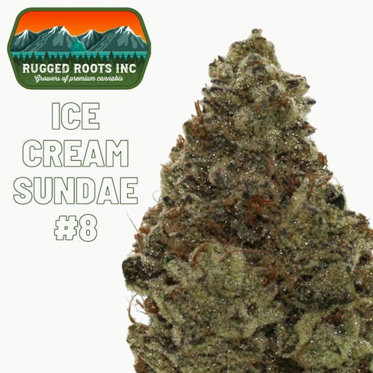 Rugged Roots - Rugged Roots - Ice Cream Sundae #8 - 1