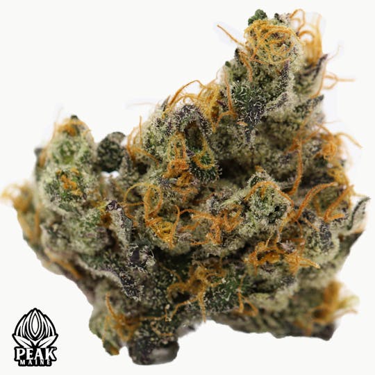 Peak Maine Cannabis - Goombay #7 - Peak Maine - 1