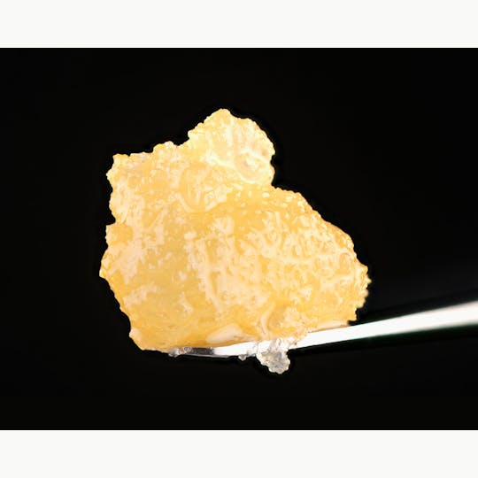 Brigid Farm - Maine Guide #55 - 1