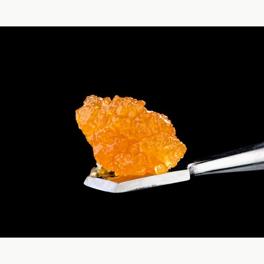 Brigid Farm - Skunk Hero - 1