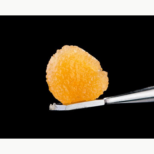 Brigid Farm - Solstice #9 - 1