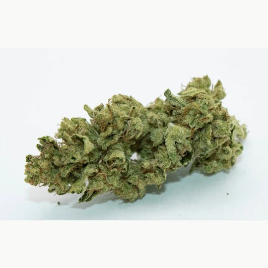 Trusty Transportations - Fatso 8th/3.5 Grams (30% THC, Indica) - 1