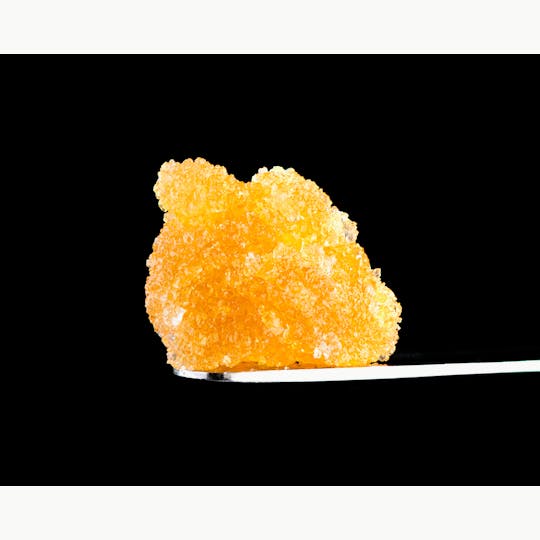 Brigid Farm - LA Zkittles - 1