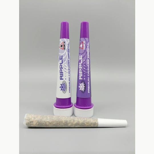 Ripple Wellness - Gelato #33 - Pre Roll - 1