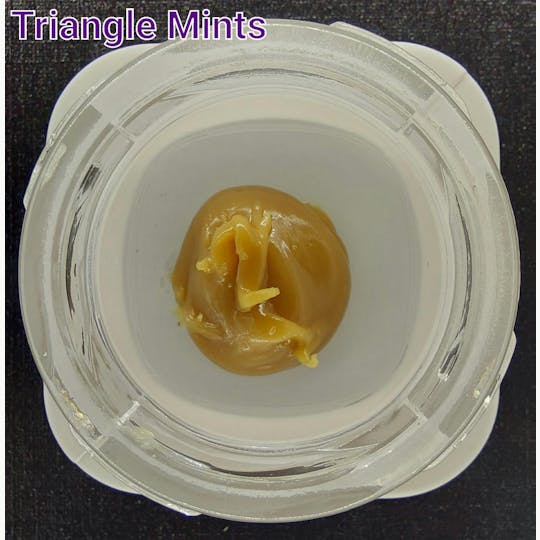 Ripple Wellness - Concentrate - Tier 1 - F/S Live Rosin- Triangle Mints - 1