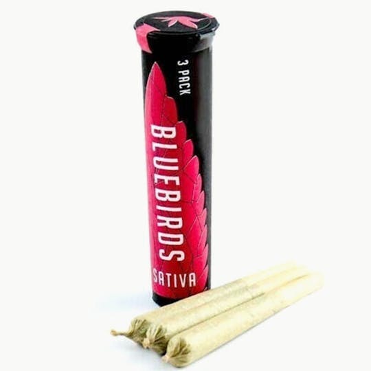 BlueBirds - Amnesia Trance 3pk Preroll - 1