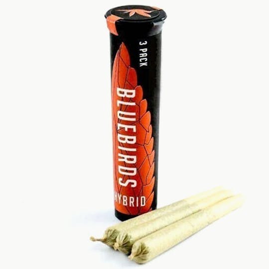 BlueBirds - Island Sweet Skunk 3pk Preroll - 1