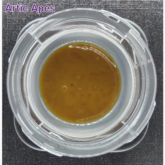 Ripple Wellness - Concentrate - Tier 3 - Artic Apes - Dry Sift Rosin - 1