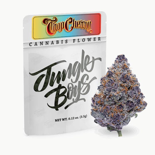 Jungle Boys - Jungle Boys | Trop Cherry - 2oz Flower Box - 1