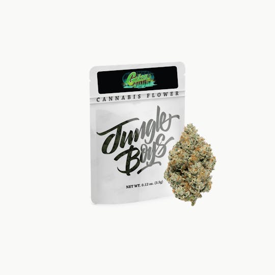 Jungle Boys - Jungle Boys | Gator Breath - 2oz Flower Box - 1
