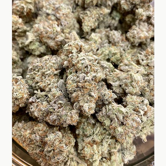 Herbal Remedies of Maine - Pilgrims Punch - 1