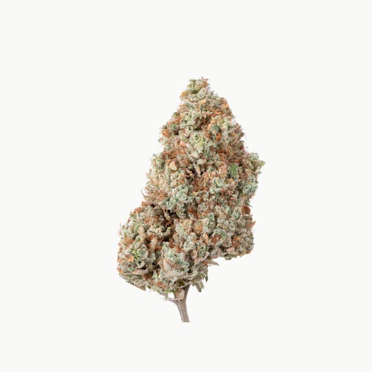 Brigid Farm - Zour Apples #4 - 1