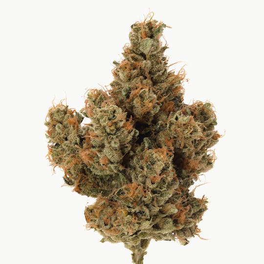 Cannassentials - Skywalker's Ghost OG - 1