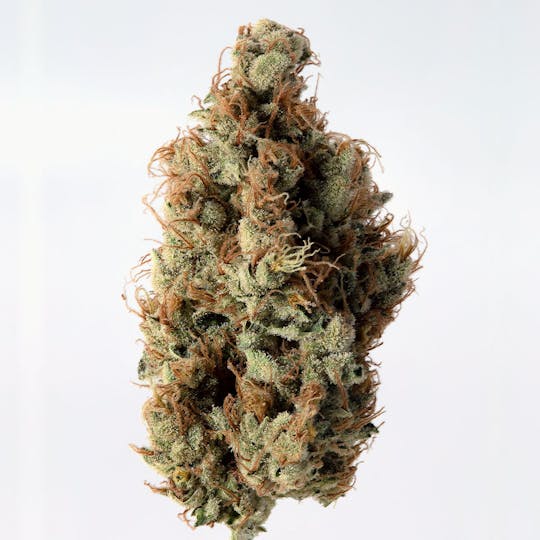 Cannassentials - Modified Macberry Moonshine - 1