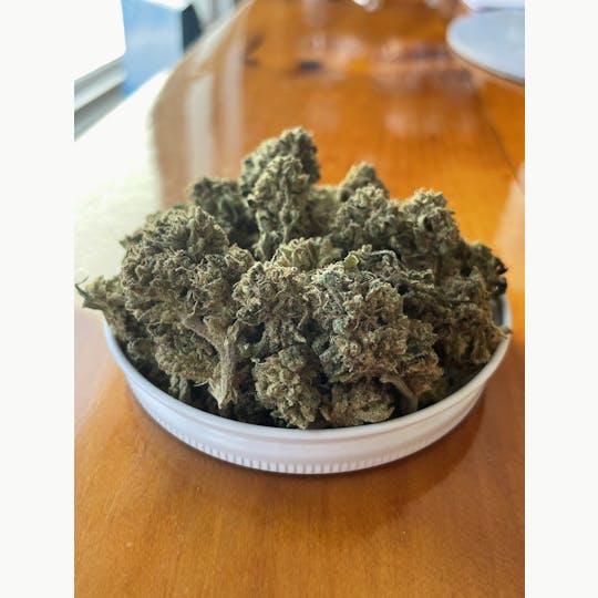 Robinsons of Maine LLC - $99.99 oz special - Ego Freshies - 1