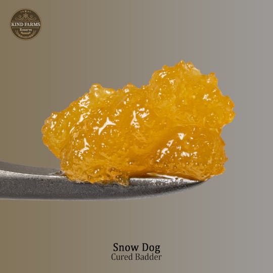 Kind Farms Reserve - Snow Dog 1g Cured Badder - Kind Farms Reserve - 1