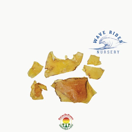 Crème De Canna - Paradise Citrus Shatter - 1