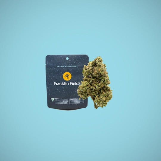 Franklin Fields - Lemon G 1/8 Pouch - 1