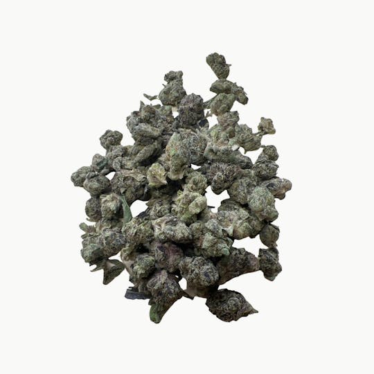 Indico - Blue Zushi- $100 oz - 1