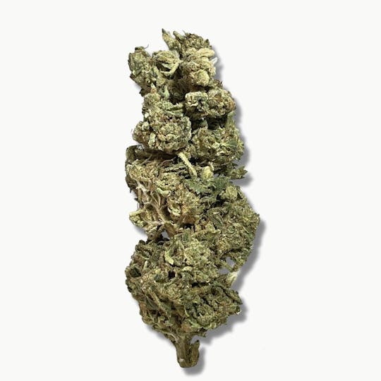 Smoakland - BLACK - Kush Mintz (H) - 14g - 1