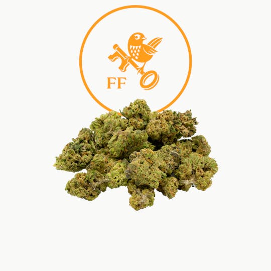 Franklin Fields - Black Jack Popcorn - 1